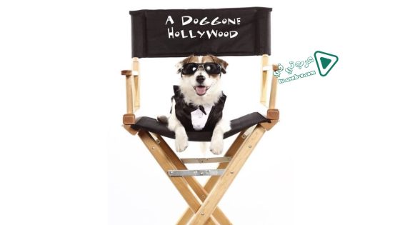 فيلم A Doggone Hollywood 2017 مترجم