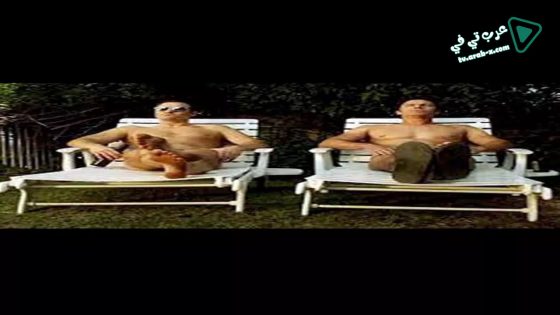 فيلم All Cock and No Bull! 2019 مترجم