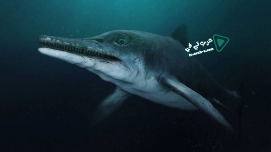 فيلم Attenborough and the Sea Dragon 2018 مترجم