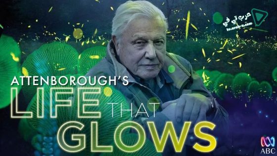 فيلم Attenborough’s Life That Glows 2016 مترجم