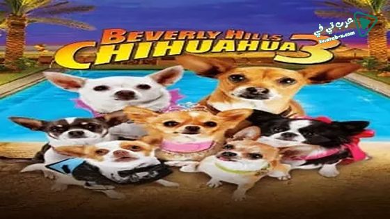 فيلم Beverly Hills Chihuahua 3: Viva la Fiesta! 2012 مترجم