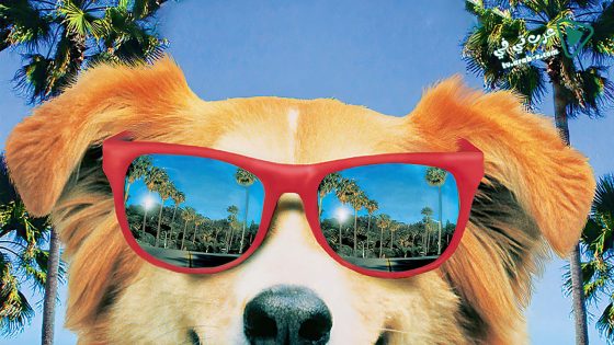 فيلم Bingo 1991 مترجم