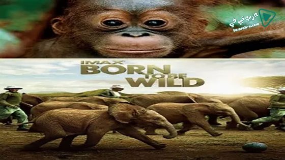 فيلم Born to Be Wild 2011 مترجم