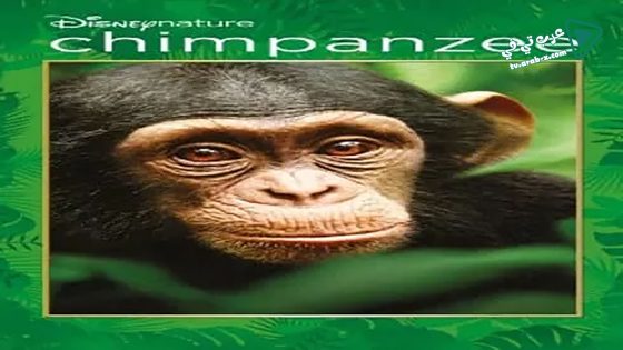 فيلم Chimpanzee 2012 مترجم
