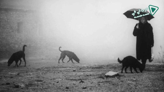 فيلم Damnation 1988 مترجم