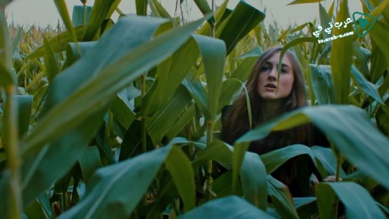 فيلم Falsely Accused 2016 مترجم