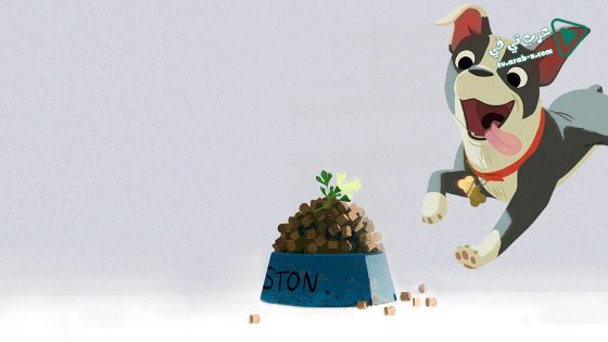 فيلم Feast 2014 مترجم