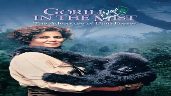 فيلم Gorillas in the Mist 1988 مترجم