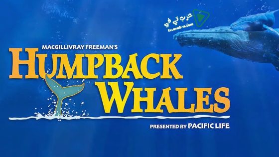 فيلم Humpback Whales 2015 مترجم