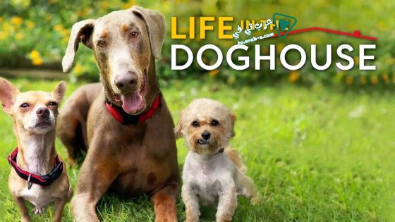فيلم Life in the Doghouse 2018 مترجم