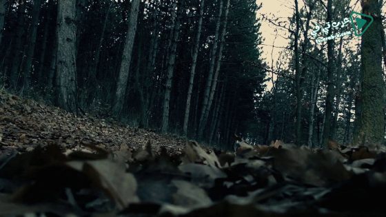 فيلم Moth 2016 مترجم