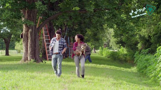 فيلم Night of the Wild 2015 مترجم