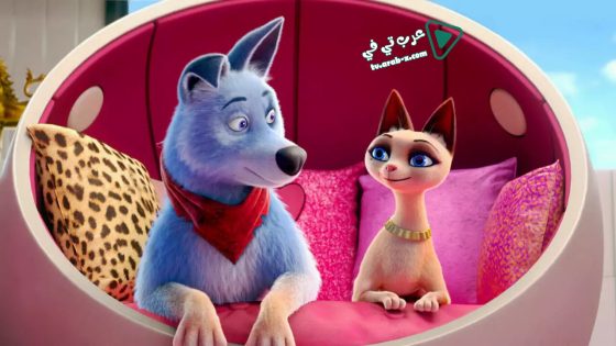 فيلم Pets United 2019 مترجم