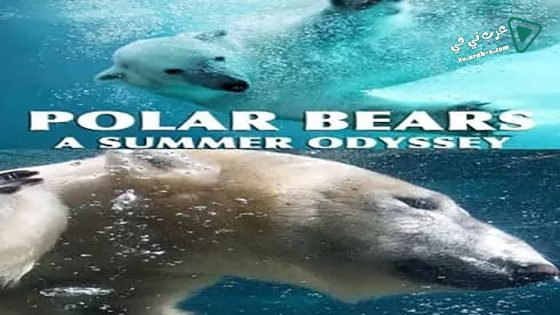 فيلم Polar Bears: A Summer Odyssey 2012 مترجم