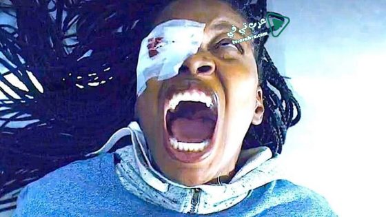 فيلم Stay Out Of The F King Attic 2020 مترجم