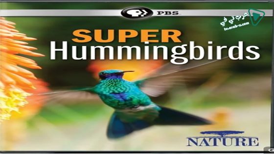 فيلم Super Hummingbirds 2016 مترجم