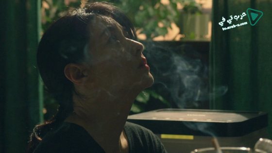 فيلم The Lady from 2017 مترجم