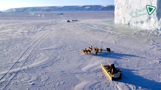 فيلم The Last Ice 2020 مترجم