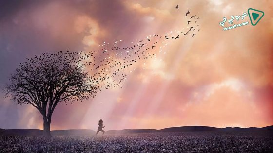 فيلم The Lovely Bones 2009 مترجم