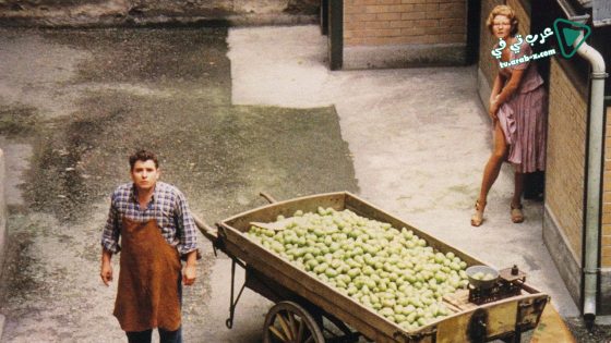 فيلم The Merchant of Four Seasons 1972 مترجم