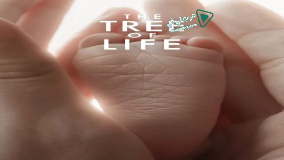 فيلم The Tree of Life 2011 مترجم