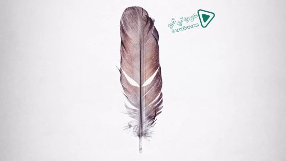 فيلم Tickled 2016 مترجم