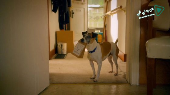 فيلم Treasure Hounds 2017 مترجم