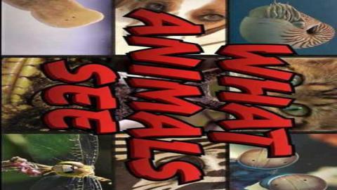 فيلم What Animals See 2018 مترجم