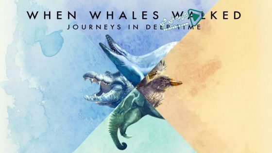 فيلم When Whales Walked: Journeys in Deep Time 2019 مترجم